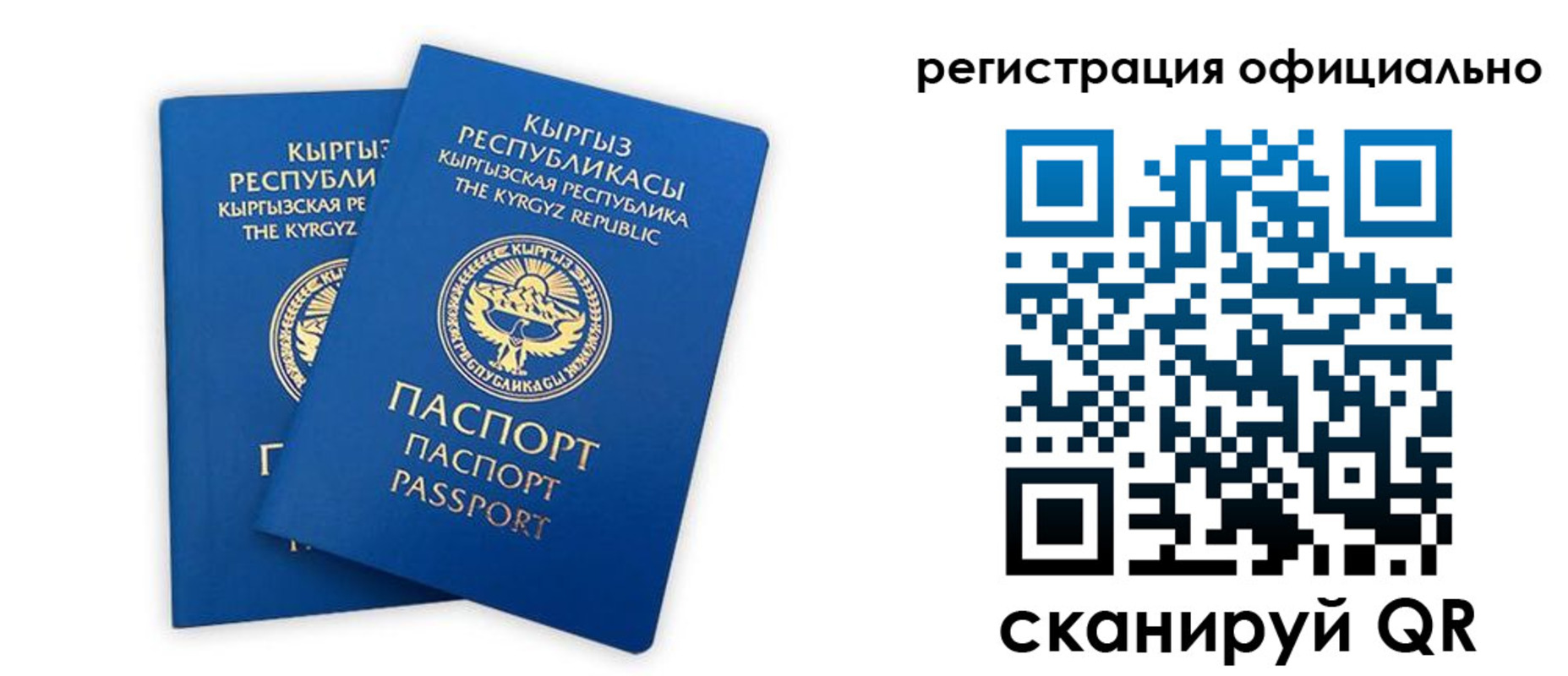 прописка поиск в Заринске
